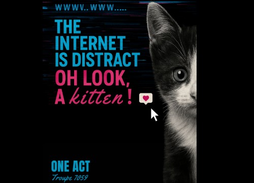 foundationacademy/the-internet-is-distract-oh-look-a-kitten
