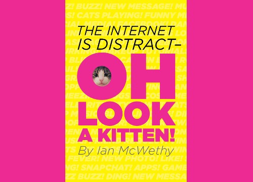 oakhillms/the-internet-is-distractoh-look-a-kitten