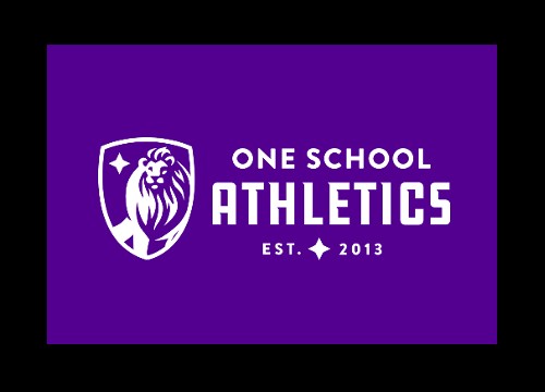 oneschool/girls-volleyball-game-vs-holy-cross